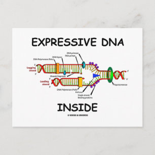 Expressive DNA Inside (DNA Replication) Postcard
