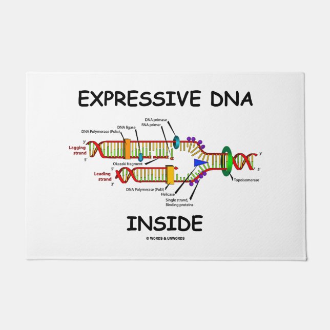 Expressive DNA Inside Molecular Biology Humor Doormat (Front)