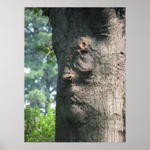 Expressive Tree Poster