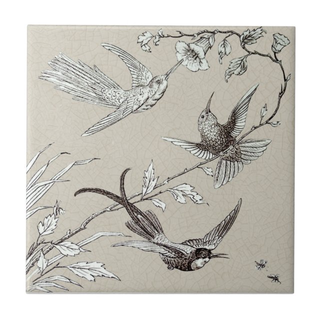 Exquisite Hummingbirds Insects Victorian Repro Ceramic Tile (Front)
