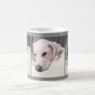 Exquisite Portraits of a Beautiful White Dog Grey  Coffee Mug