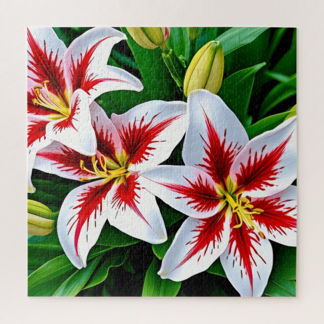 Exquisite white lilies  jigsaw puzzle (Vertical)
