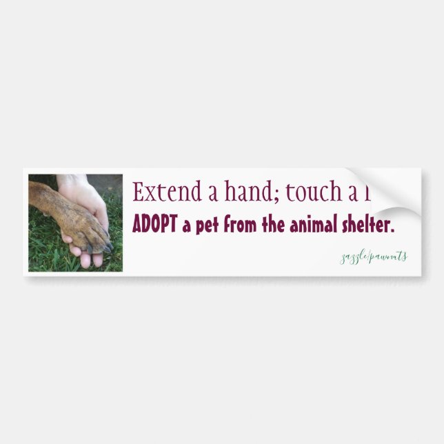 Extend a hand; touch a life bumper sticker (Front)