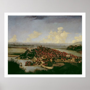 Extensive view of Rye Poster