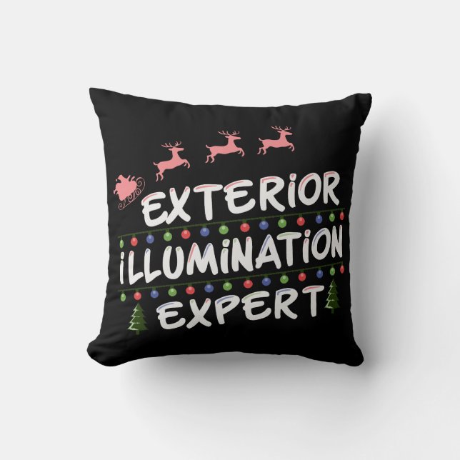 Exterior Illumination Expert Funny Cushion (Front)