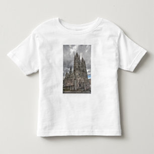 Exterior of the Basilica in Quito, Ecuador Toddler T-Shirt