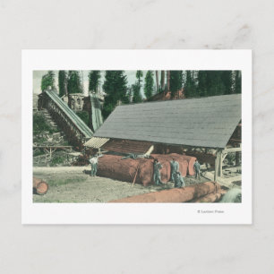 Exterior View of Benton's MillRedding, CA Postcard