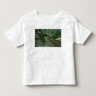 Exterior View of Shasta Retreat from Rail Tracks Toddler T-Shirt