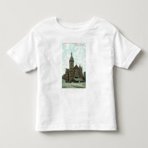 Exterior View of St. Mary's Cathedral Toddler T-Shirt