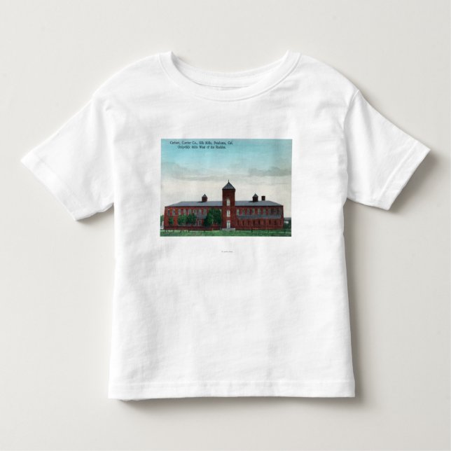 Exterior View of the Currier Co Silk Mills Toddler T-Shirt (Front)
