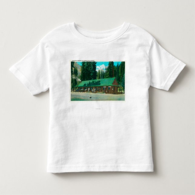 Exterior View of the Dardanelle Resort Toddler T-Shirt (Front)