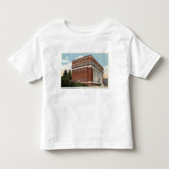 Exterior View of the Masonic Temple 2 Toddler T-Shirt (Front)