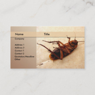 exterminator business card