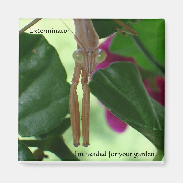 Exterminator Magnet (Front)