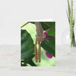 Exterminator Notecard