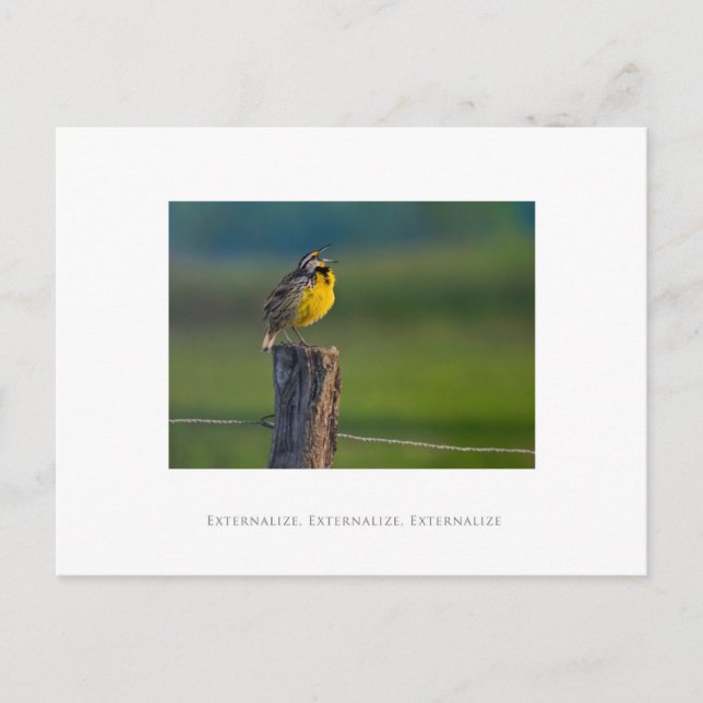 Externalise, Externalise, Externalise Postcard (Front)