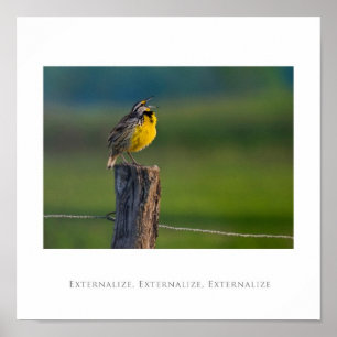 Externalise, Externalise, Externalise Poster