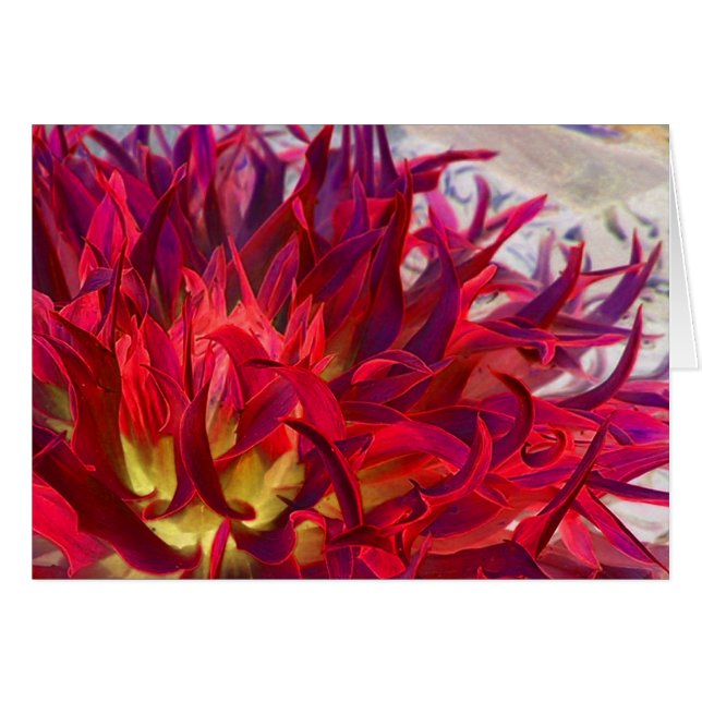 Exterra Dahlia (Front Horizontal)