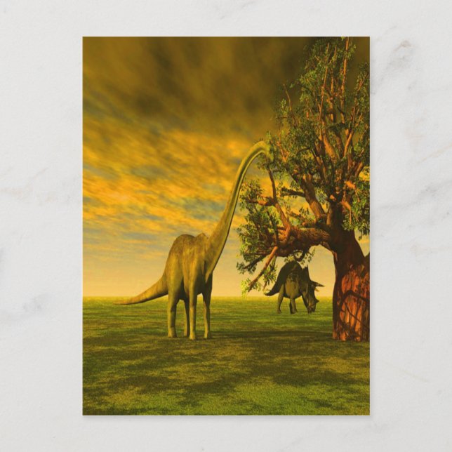 extinct brontosaurus dinosaur postcard (Front)