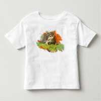 Extinct is Forever - Save the Boreal Toad