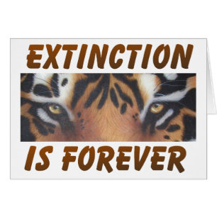 Extinction is forever