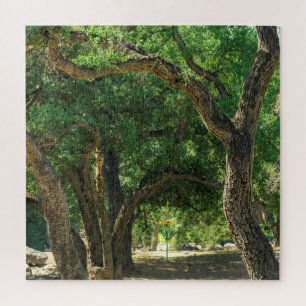 Extra Difficult Disc Golf Forest Puzzle
