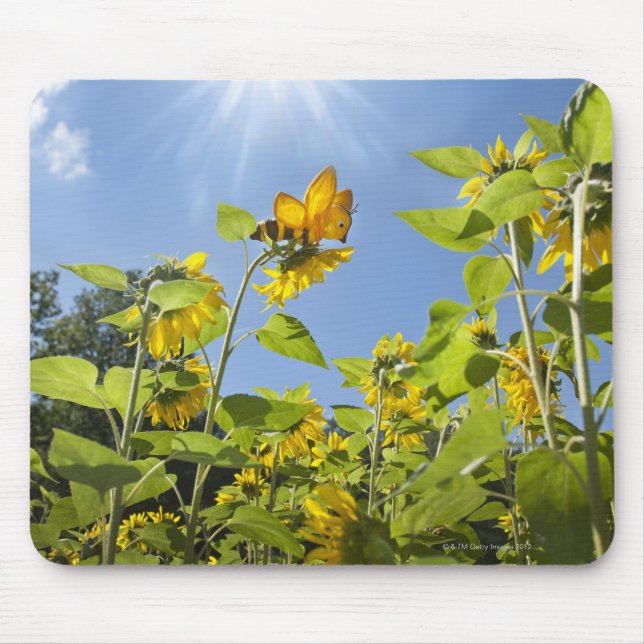 extra large bee on Sunflower Mouse Pad (Front)