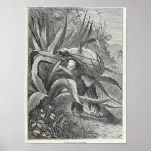 Extracting Pulque Poster