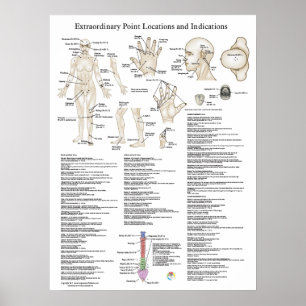 Extraordinary Acupuncture Points Poster