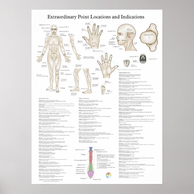 Extraordinary Acupuncture Points Poster (Front)