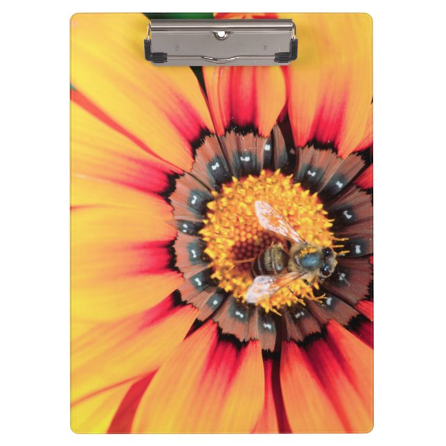 Extreme Close-Up Of A Bee Collecting Pollen Clipboard (Front)