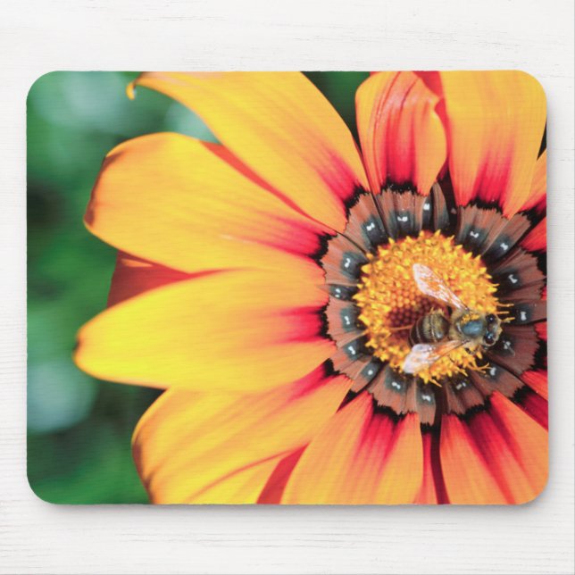 Extreme Close-Up Of A Bee Collecting Pollen Mouse Pad (Front)