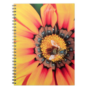 Extreme Close-Up Of A Bee Collecting Pollen Notebook