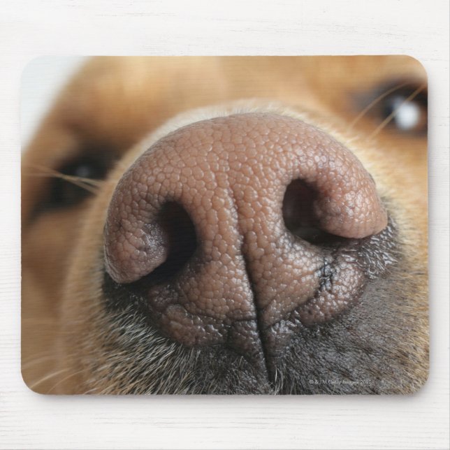 Extreme close-up of a dog nose. mouse pad (Front)