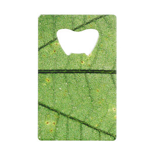 Extreme Green Leaf