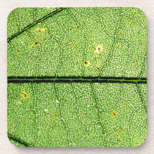 Extreme Green Leaf Coaster (Front)