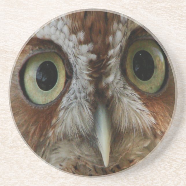 Extreme Owl Coaster (Front)