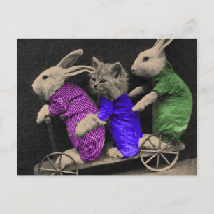 Extreme Sports Postcard