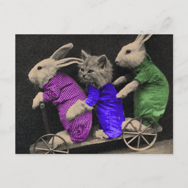 Extreme Sports Postcard (Front)