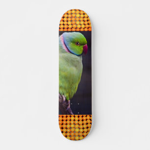 Extreme Sports Tropics Skateboard