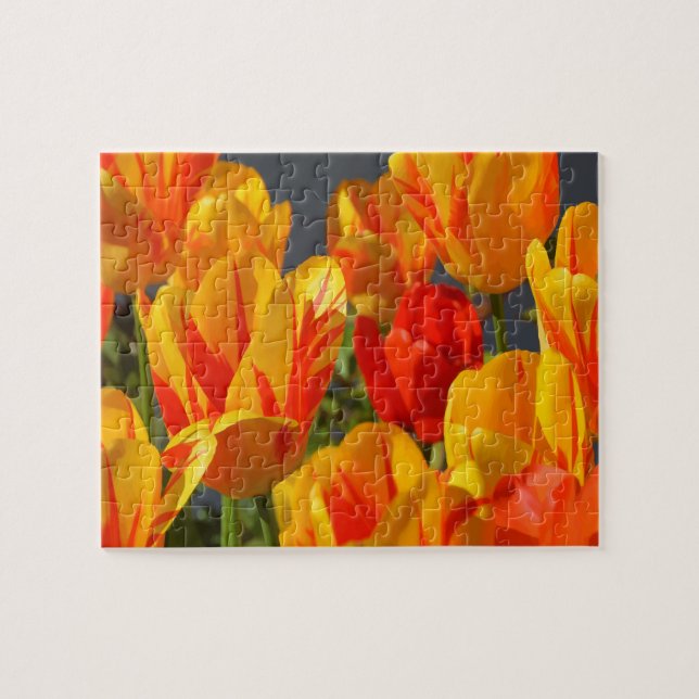 Extremely Difficult Garden Flower Tulips Jigsaw Puzzle (Horizontal)