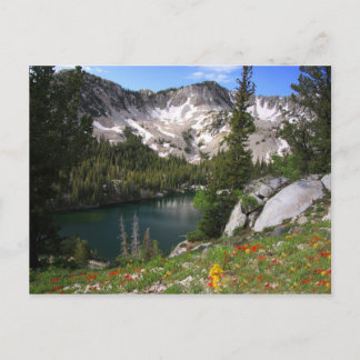 Eye Candy Postcard