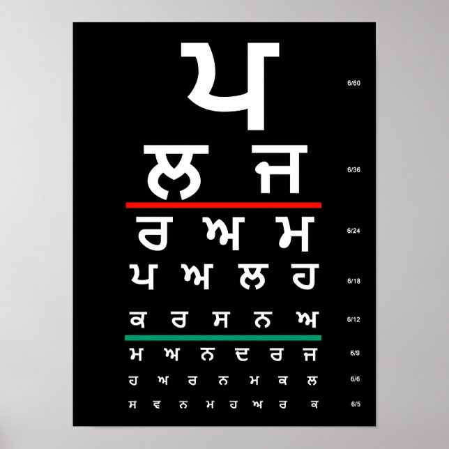 Eye Chart Punjabi (Front)