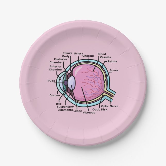 Eye Diagram Paper Plate (Front)