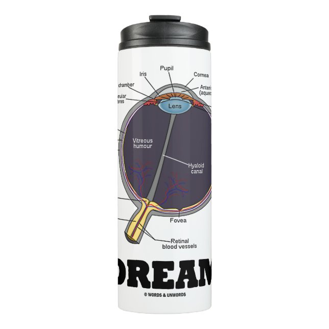 Eye Dream Anatomical Human Eyeball Humour Thermal Tumbler (Front)