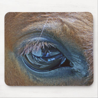 "Eye Full" Mouse Pad
