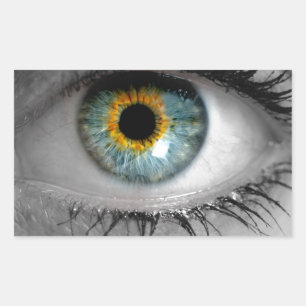 Eye looks to viewer concept macro rectangular sticker