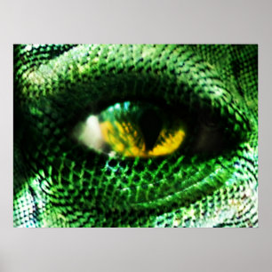 Eye of a ... ? poster