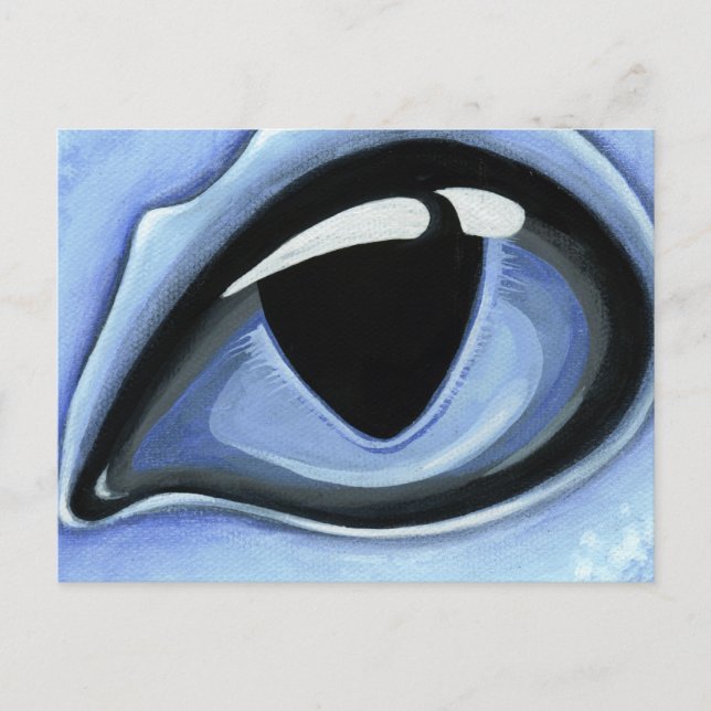 Eye Of Baby Blue Postcard (Front)