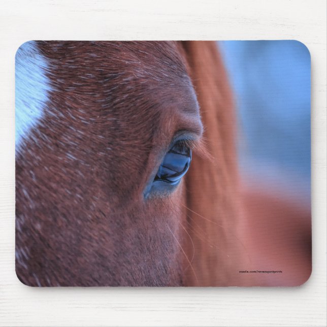 Eye of Chestnut Horse Equine Photo Mouse Pad (Front)